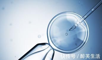 寿命|试管婴儿与普通婴儿,除了受孕方式不一样,还有3点不同,很意外