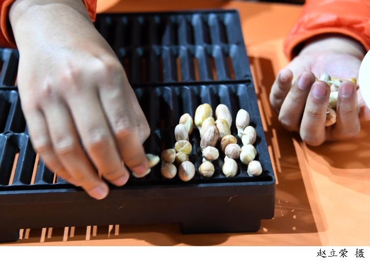 多样性|上海：尊重“多样性”，探步让“星星的孩子”体面融入社会