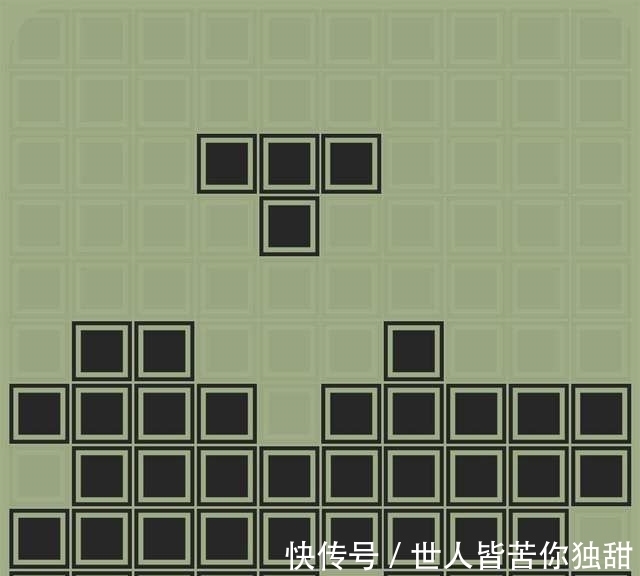 食肉动物|10条新鲜好玩的冷门小知识,你知道多少呢?