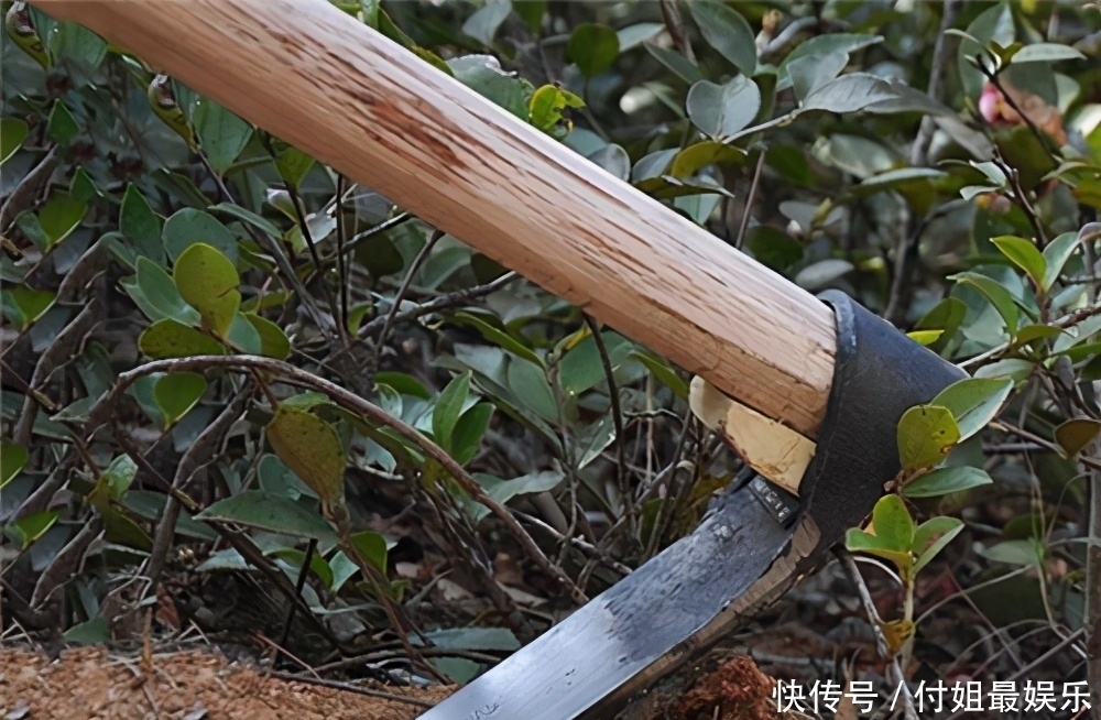 户外|古代穷人过寒冬,为何宁可在户外冻死,也不挖地窖御寒,是懒吗?