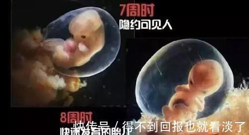 胎宝|子宫又黑又窄,胎儿会觉得孤单吗?看完胎宝每天在干什么就知道了