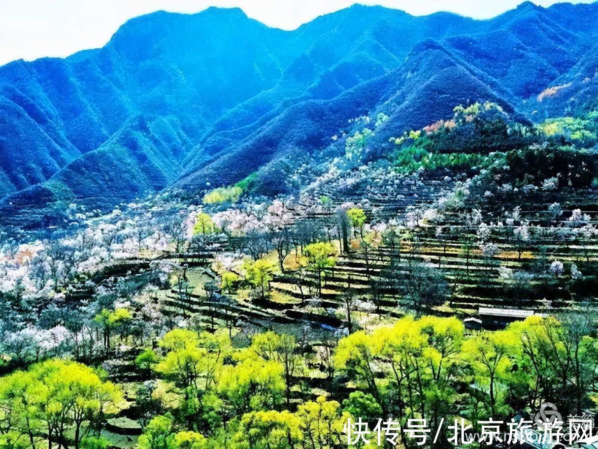 十渡|春已至，花绽放！这份房山赏花攻略请查收！