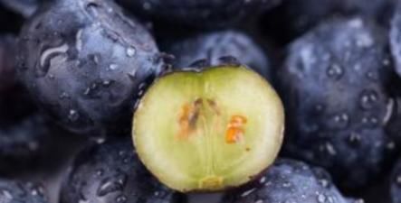 延缓衰老|女性想再年轻几年?4种食物当零食吃,胜过十瓶化妆水!