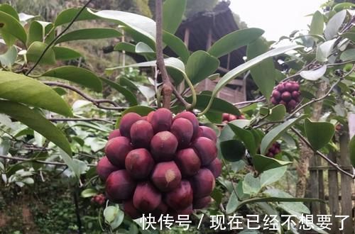 养颜|冬天要坚持多吃3种食物,排毒养颜、改善体质,早吃早好!
