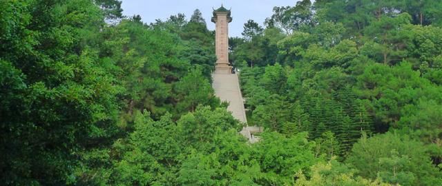 龙象塔|南京有个5A景区，种满热带植物，历史悠久