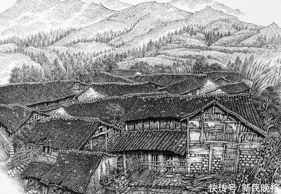 金汇|惊艳！钢笔画里的上海水乡