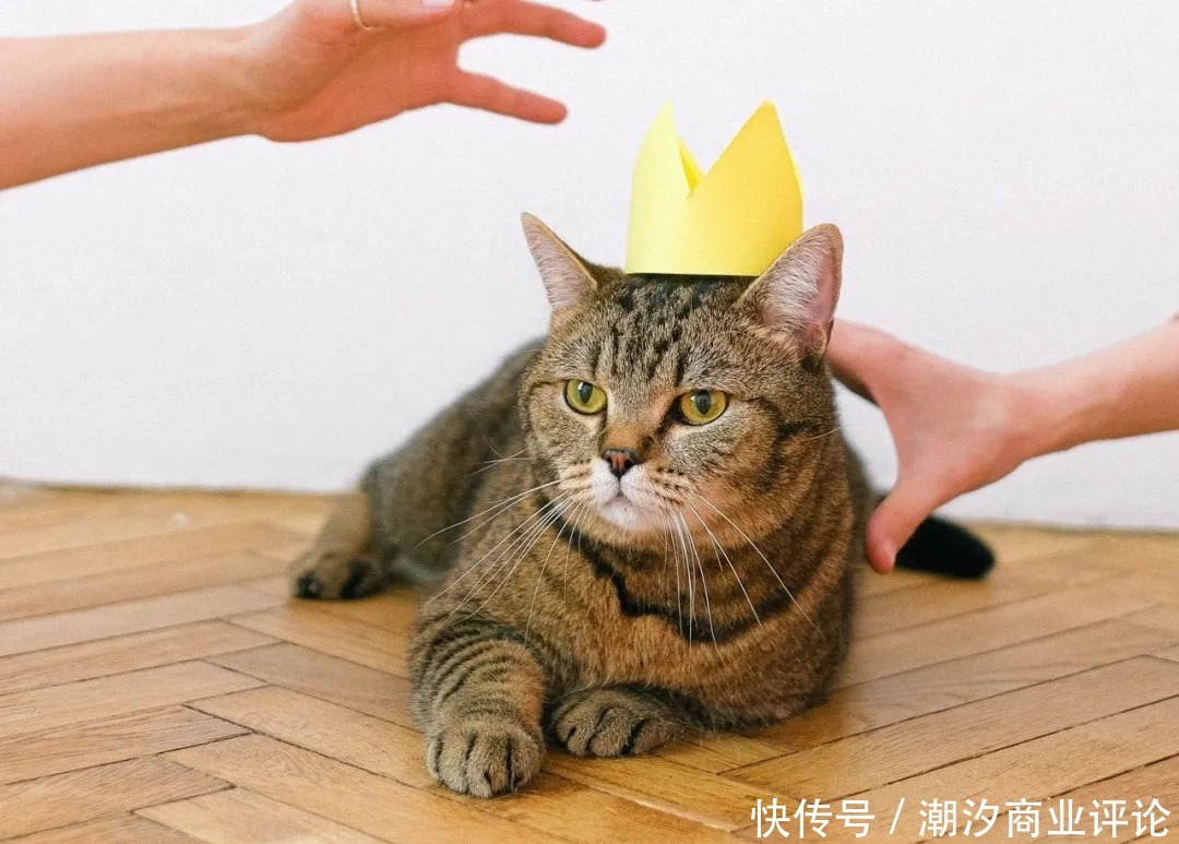 万金油|华熙生物:玻尿酸再努力,也不会成为“万金油”