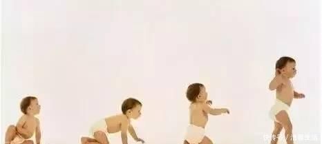 宝宝|八个月会走路是天才?孩子不能过早学习的几件事家长要知道!