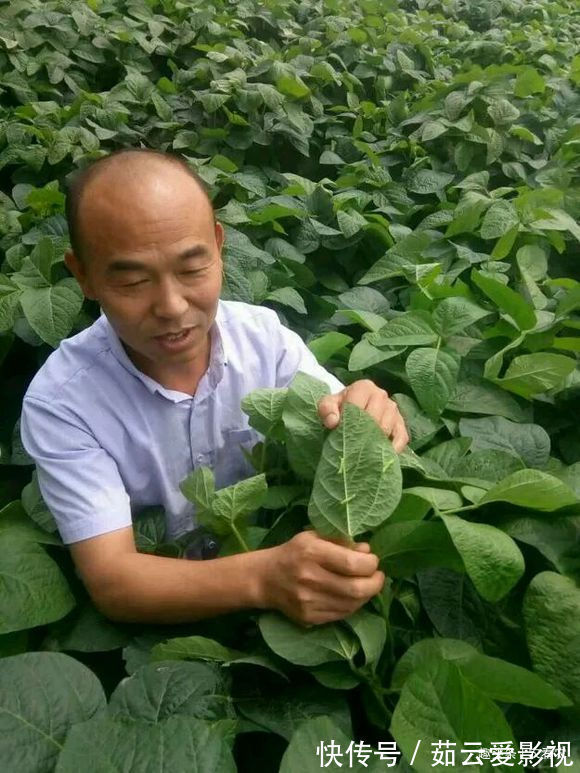 过去农民见了就打，如今成抢手货，一斤80元，是大补