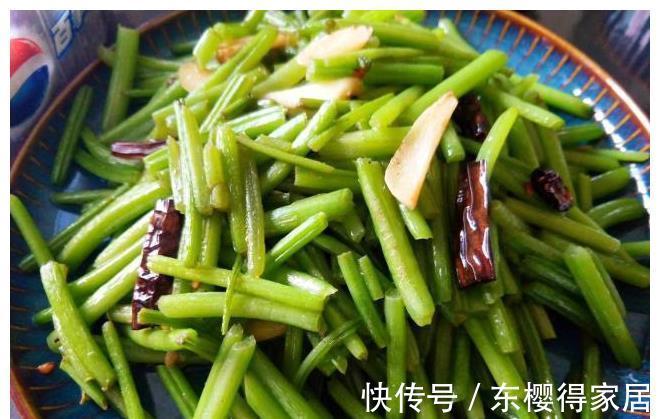 毛豆|在家做元气满满的早餐，吃饱每天都有好心情，健康美味又省钱