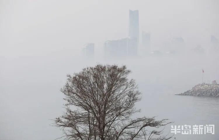 青岛气温将狂降12℃，还有雨+雪！今天大雾锁城，出游网友：看了个寂寞