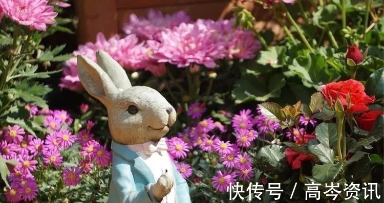 小区|坐拥270㎡大院子,她如何用五年时间,打造成了全小区最美的花园