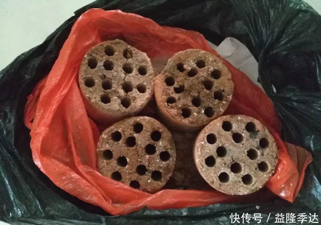 煤渣|家里吃剩的果皮,拿来养花嗖嗖长,不黄叶、开花多