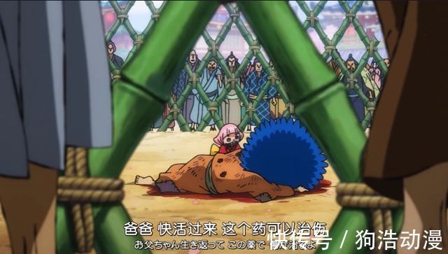 雷利|海贼王:原来索隆才是真“冥王”,和之国给他带过路的人都凉了