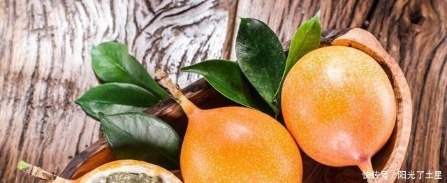 1根枝条插盆里,生根很快,1年结果,水果多到吃不完!