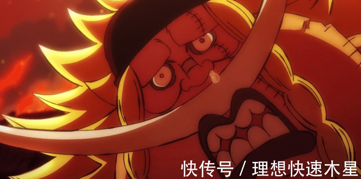 逃生|海贼王七武海逃生概率如何女帝90％逃生率，但100％被抓！鹰眼无敌