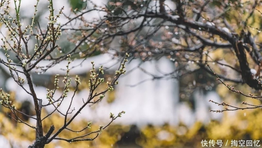 冬晚对雪忆胡居士家#下雪啦!不读这20句诗词,你就不知道雪有多美