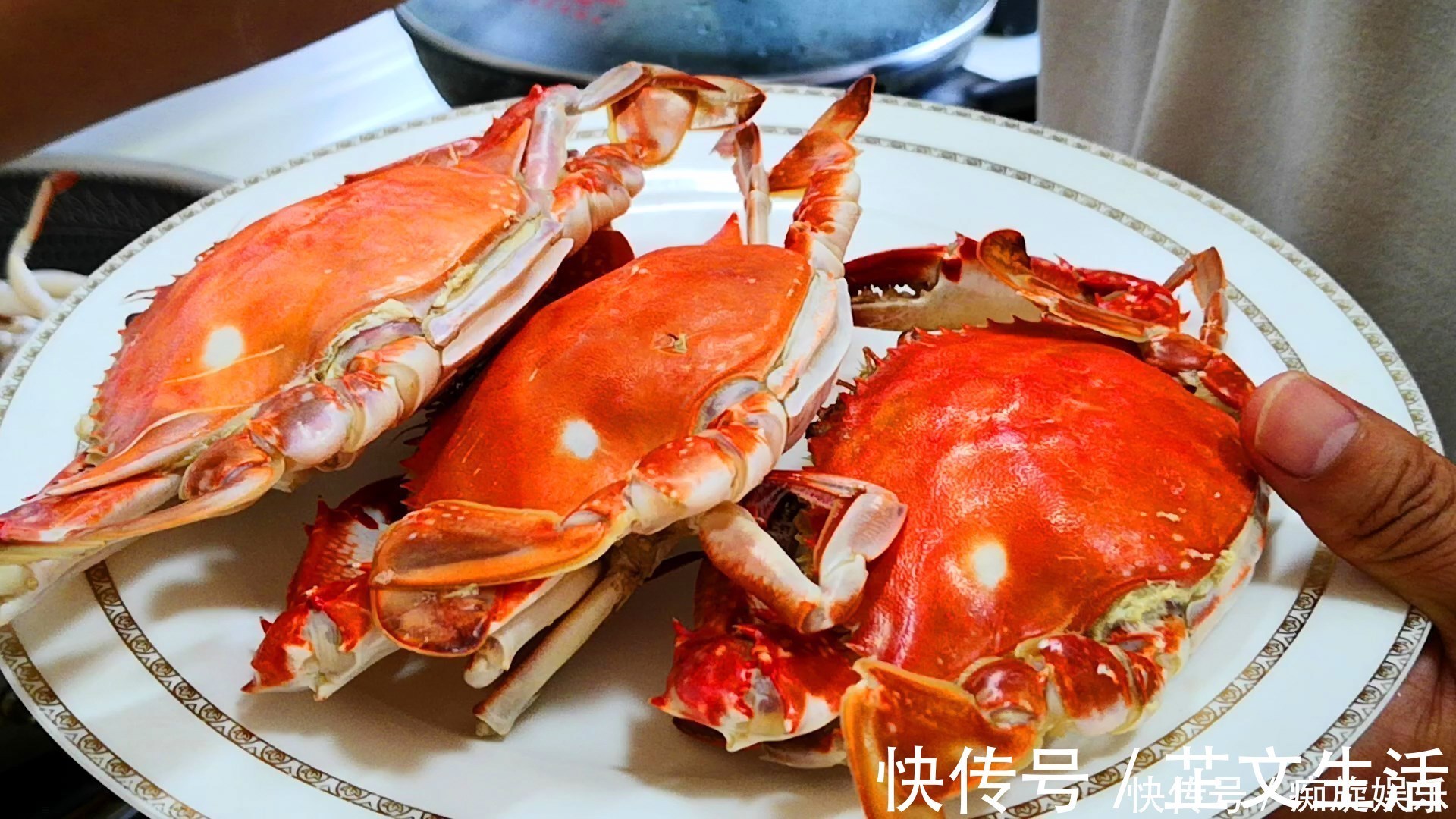 三人行必有我师焉|蒸螃蟹原来有诀窍,教你正确做法,不流黄不掉腿,肉质鲜嫩无腥味