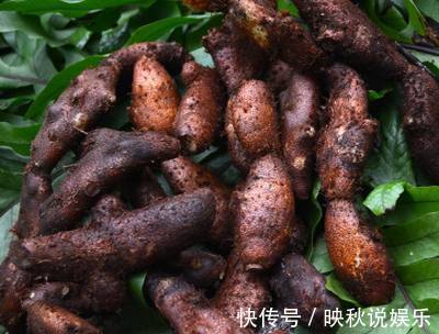 太平圣惠方|这种农村随处可见的东西，治疗跌打损伤所致的骨折竟效果这么好！