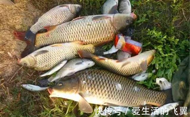 钓鱼|夏秋季节钓鱼，为何要迎风而钓？其实原因很简单：这里是活水