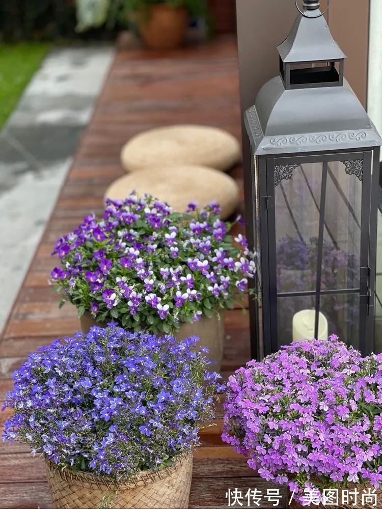 下午茶|一楼430㎡大院子，用1年半建成花园，网友：你这是建了个公园吧？