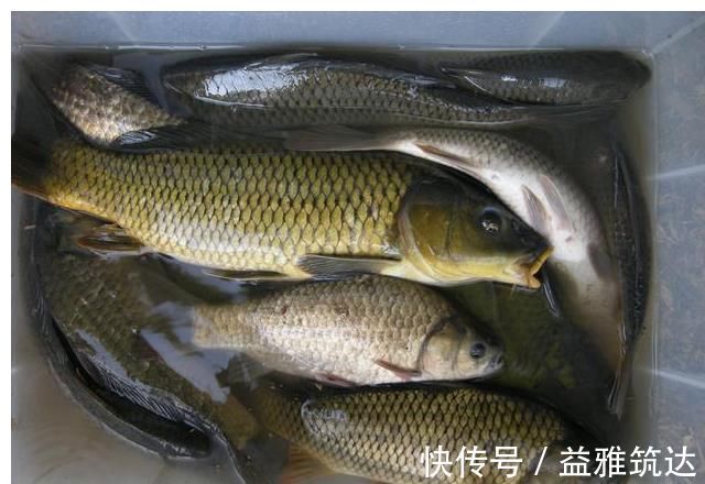 钩尖|从几分钱到几块钱,鱼钩的区别在哪里?有必要花这么多钱吗?