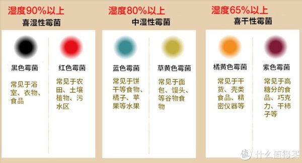 开窗|回南天来了怎么办？这3种做法属“无用之举”，4招破解潮湿难题