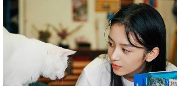 中餐厅5|《中餐厅5》官宣:龚俊丁真入驻,黄晓明店长,华为公主成热议