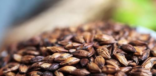 6种食物是天然“强肝王”,每天可劲儿吃,肝会一天比一天健康