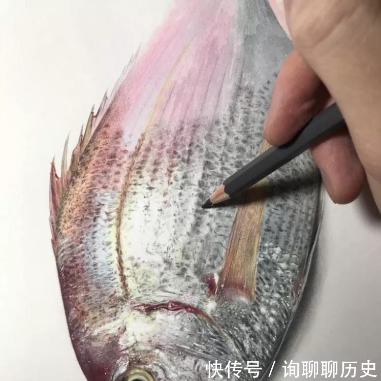 清秀!日本清秀画家,画鱼没水却有鱼游动的意境,堪比我国冷军老师!