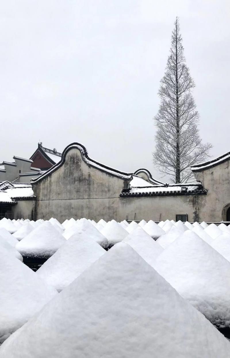 中国年|初雪已至春未远 乌镇迎红白两色中国年
