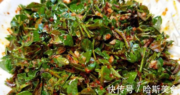 开胃|很多人只吃种子,其实叶子才是宝贝,简单一拌,开胃解腻,比肉香