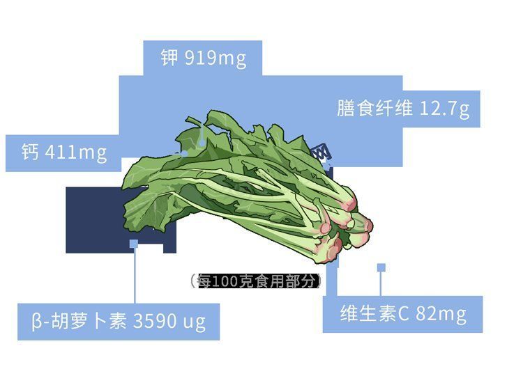 cts|什么是膳食纤维？《柳叶刀》点名表扬：可降低死亡风险，延长寿命