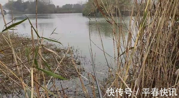 大区别|冬钓聚鱼技巧,打窝诱鱼只是基本,以鱼诱鱼,才能做到鱼口不间断