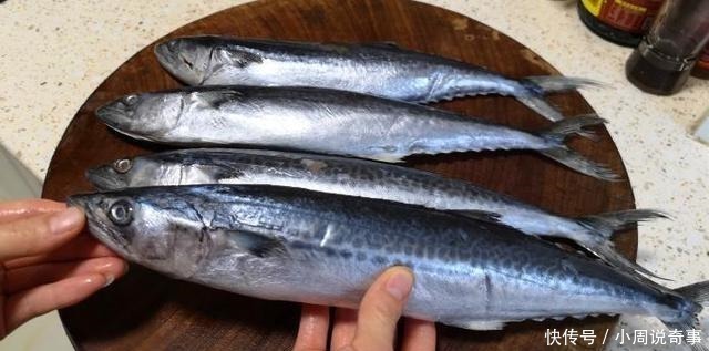 这才是鲅鱼最好吃的做法,吃了30年都没吃够,外酥里嫩,太香了