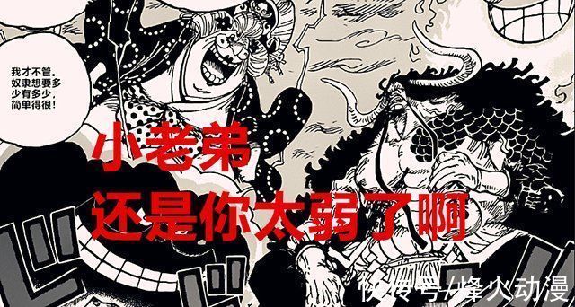 白胡子|海贼王1025话同样都是四皇团,为何凯多团被喷是最弱的队伍