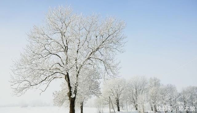 冬季来临，多吃这些食物，阳气补血一整年