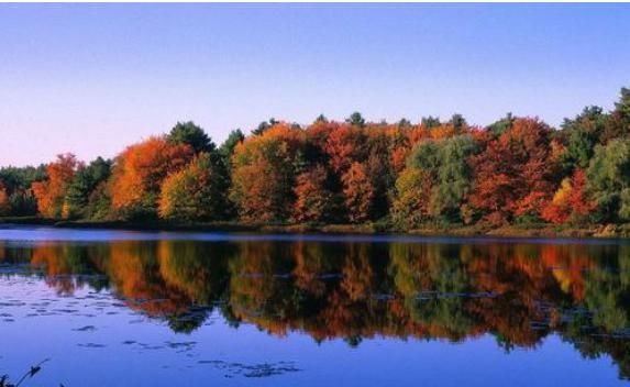 看完《瓦尔登湖》这15句,明白为啥是清华校长力荐的“必读经典”