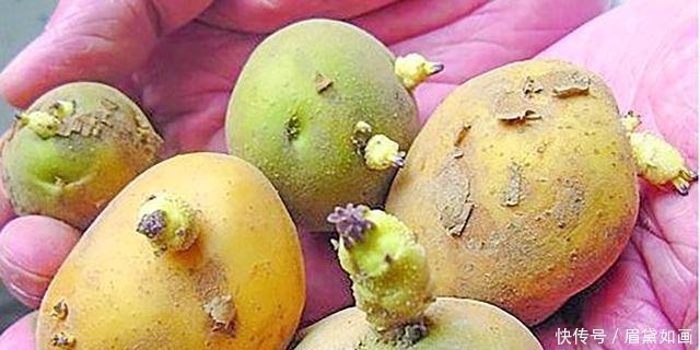 红薯|这5种食物别再吃了，医生忠告能不吃就别吃了，因为寄生虫最多