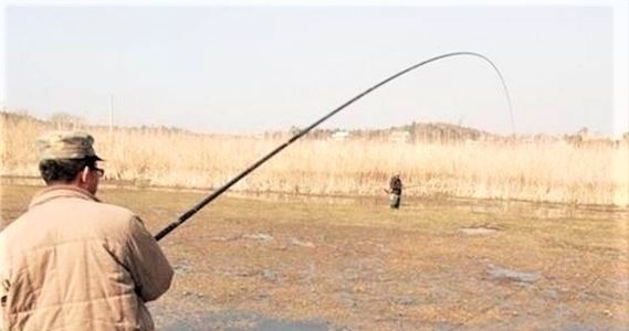 窝点|夏季野钓,突然无鱼口,不是钓技不好,原来是这几种因素