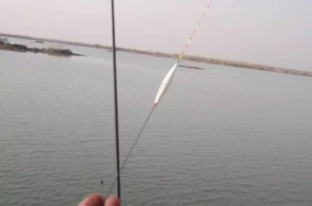 浮漂被拉黑都不中鱼?老钓手道出3个原因后,才知套路如此之深