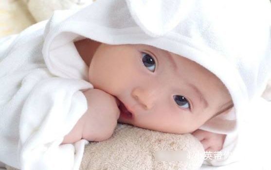 食物|怀孕期间吃此类食物，生出来的孩子颜值不会太差，来了解一下