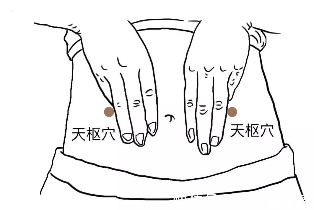 开关|肚子减肥的两大“开关”!每天敲敲轻松减肥