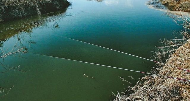 前天爆护连竿的地方,隔天垂钓却不见一口!幸亏遇到老者道出缘由