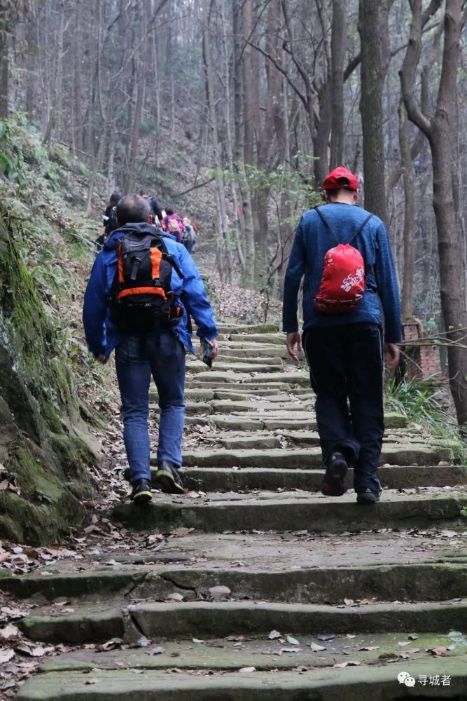 更喜南山千倾野，卅公里后尽开颜