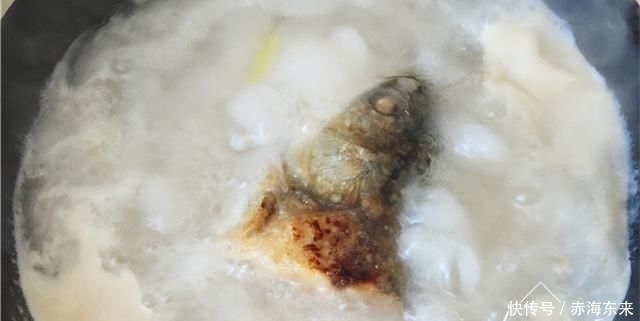 鱼头|煮鱼汤时,直接加水炖大错特错,牢记2个诀窍,鱼汤奶白色没腥味