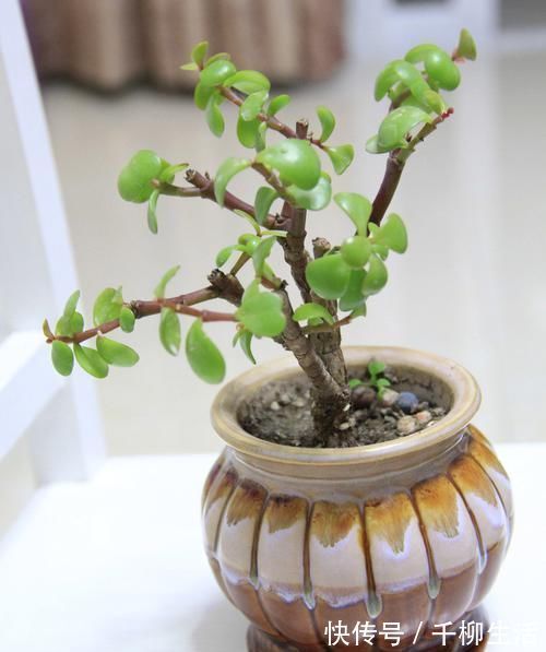 晒晒刚入住的新房,没钱穷装,全套下来6万5,老婆表示简洁大方