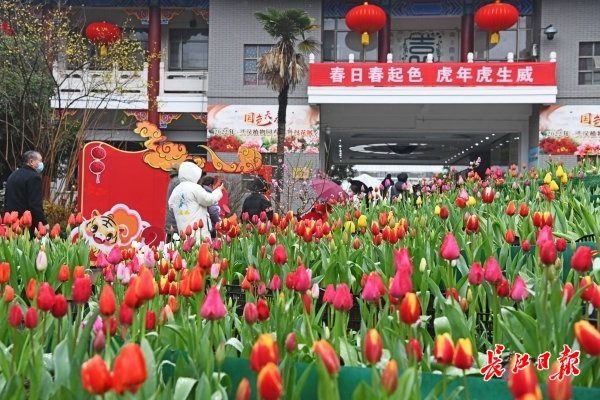 gt@今日大武汉｜①这个“顶流”卖空了②来免费场馆运动③暖气片不热怎么办