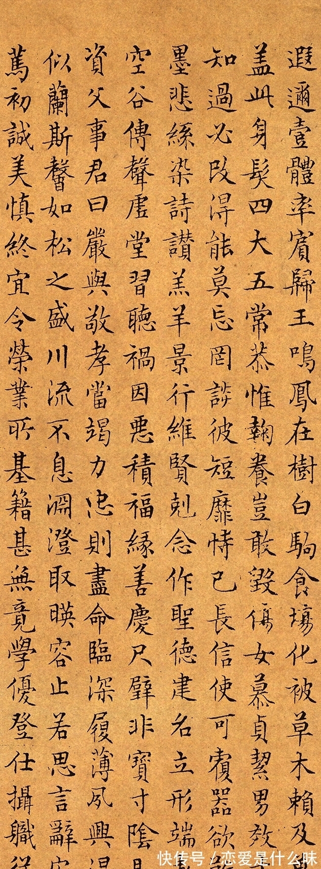 千字文#文徵明的这篇《千字文》,堪称欧楷的“教科书”,名动海内