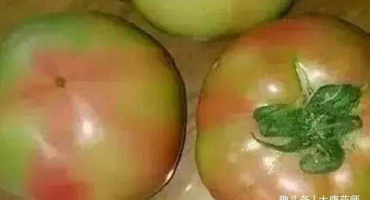 西红柿|蔬菜不是吃的越多越好！6种蔬菜不建议常吃，了解一下，别再吃错